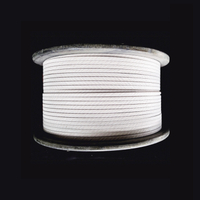 Nomex Covered Flat Wire